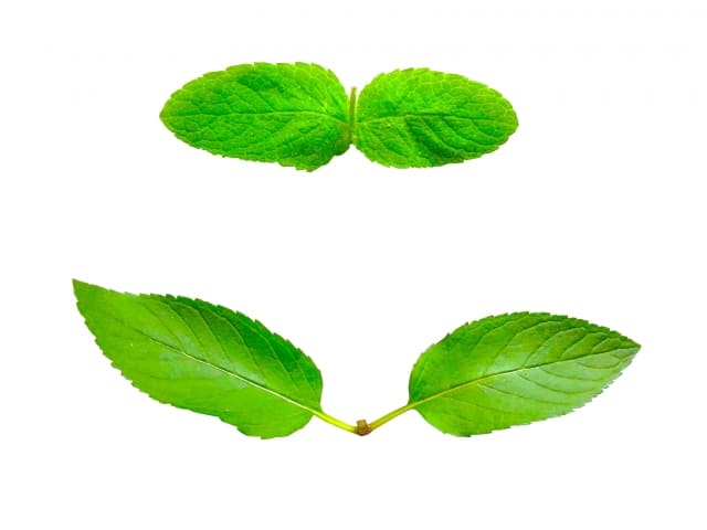 コンサルの業界残業時間は他業界とどう違う?の写真